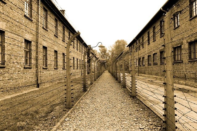 "Dziewczęta z Auschwitz" - kilka słów autorki